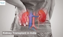A New Lease on Life: A Comprehensive Guide to Kidney Transplants