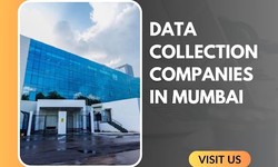Unveiling Mumbai's Data Collection Companies: Navigating the Information Landscape