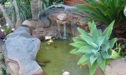 Enhance Your Outdoor Oasis: The Beauty of Koi Fish Ponds and Pool Lagoons by Total Rock Concepts