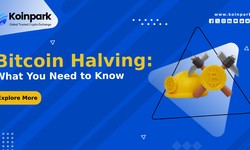 Bitcoin Halving: What You Need to Know