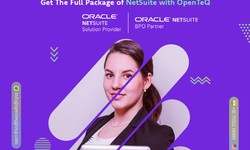 Harnessing the Power of Netsuite for Wholesale Distribution