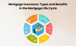 Mortgage Insurance: Types and Benefits in the Mortgage Life Cycle
