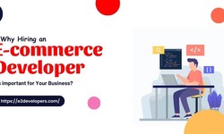 Why Hiring an Ecommerce Developer is Important for Your Business?