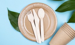 The Environmental Impact and Convenience of Disposable Paper Plates