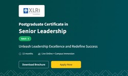 Navigating Leadership Challenges: Lessons from XLRI's Senior Leadership Certificate