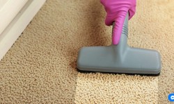 5 Essential Tips for Effective Carpet Cleaning