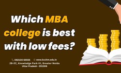 Which MBA college is best with low fees?