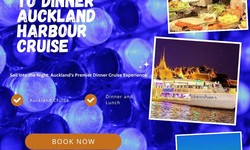 Sailing Through Gastronomic Pleasures: A Unique Experience on the Auckland Dinner Cruise