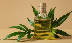 Do Medical Professionals Endorse the Use of CBD Oil?