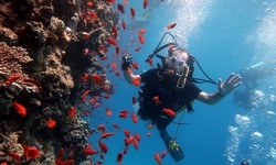 Diving Beyond Boundaries: Red Sea Adventures Await in Hurghada