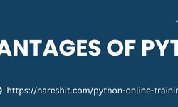 Advantages of Python - Naresh IT