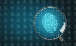 Unveiling the Depths: Navigating Digital Forensics and Investigations