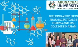 Building a Future in Pharmaceuticals: B Pharma and MSc Colleges in Assam