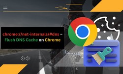 chrome://net-internals/#dns – Flush DNS Cache on Chrome