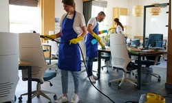 Creating a Healthy Home Environment: The Role of Professional Cleaning Services in Potomac, MD