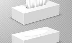 The Essential Guide to Facial Tissues: Types, Uses, and Benefits