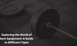 Exploring the World of Gym Equipment: A Guide to Different Types