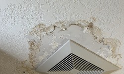 Understanding and Addressing Ceiling Water Stains in Edmonton Homes
