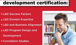 Learning after Learning & Development Certification