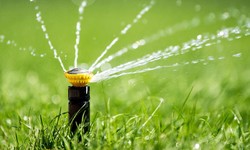Benefits of Hiring Irrigation System Services: All You have got to know