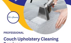 Revitalize Your Living Space with Professional Couch Upholstery Cleaning Services