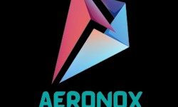 What are the core offerings and competitive advantages of Aeronox Solutions in the digital services industry