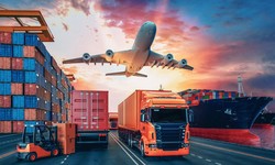 Navigating Import and Export Permits and Cargo Clearance in Singapore