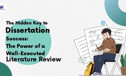 The Hidden Key to Dissertation Success: The Power of a Well-Executed Literature Review