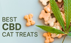 In the Meow-delight: Unveiling the Best Nighttime CBD Treats for Cats: