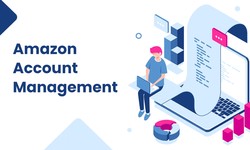 Proven Profit Strategies: Your Amazon Account Management Solution