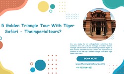 Top 5 Golden Triangle Tour With Tiger Safari - Theimperialtours?