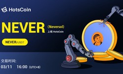 Investment Research Report: Neversol (NEVER) - a commemorative coin of the Solana blockchain