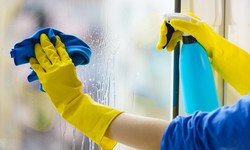 Why Should You Prioritize Window Cleaning for Your Home or Business?