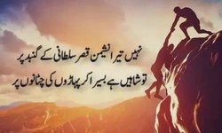 Using Urdu's Motivational Quotes to Your Advantage: A Guide to Inspiration and Achievement