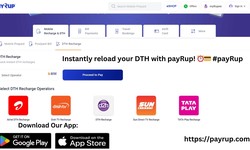 Power Up Your TV: DTH Recharge Made Easy with payRup