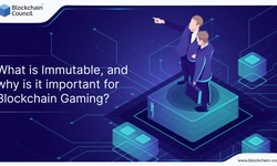 What is Immutable, and why is it important for Blockchain Gaming?