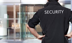 The Importance of Private Security