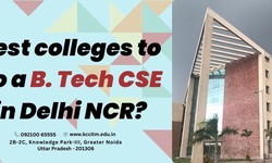 Best colleges to do a B. Tech CSE in Delhi NCR?