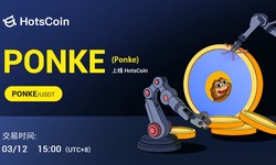 Investment Research Report: Ponke (PONKE) - An introductory tool to the Solana ecosystem