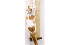 Purr-fect Solutions: The Ultimate Guide to Smart Cat Scratching Posts