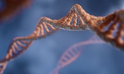 The Role of Genetics in Birth Defects: What You Need to Know