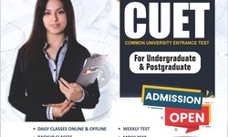 The Role of Mock Tests in CUET Preparation
