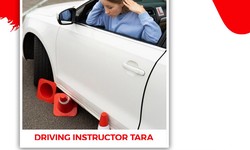 Steer Towards Confidence: Mastering the Road with Driving Instructor Tara