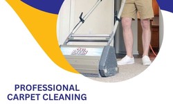 Refreshing Your Home: The Benefits of Professional Carpet Cleaning with Oxi Fresh