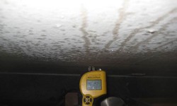 Comprehensive Mold Inspection: Professional Solutions for Property Health
