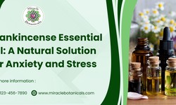 Frankincense Essential Oil: A Natural Solution for Anxiety and Stress
