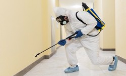 The Role of Pest Control in Abbotsford's Hospitality Industry