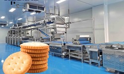 Maximizing Productivity with Golden Bake's Biscuit Production Line Manufacturers