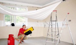 The Sustainability of Stretch Ceilings Eco-Friendly Options