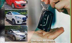 Which car rental company is the best for car rentals in Mauritius?